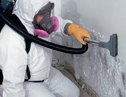 Mold Remediation for Rental Properties in Eureka, MO